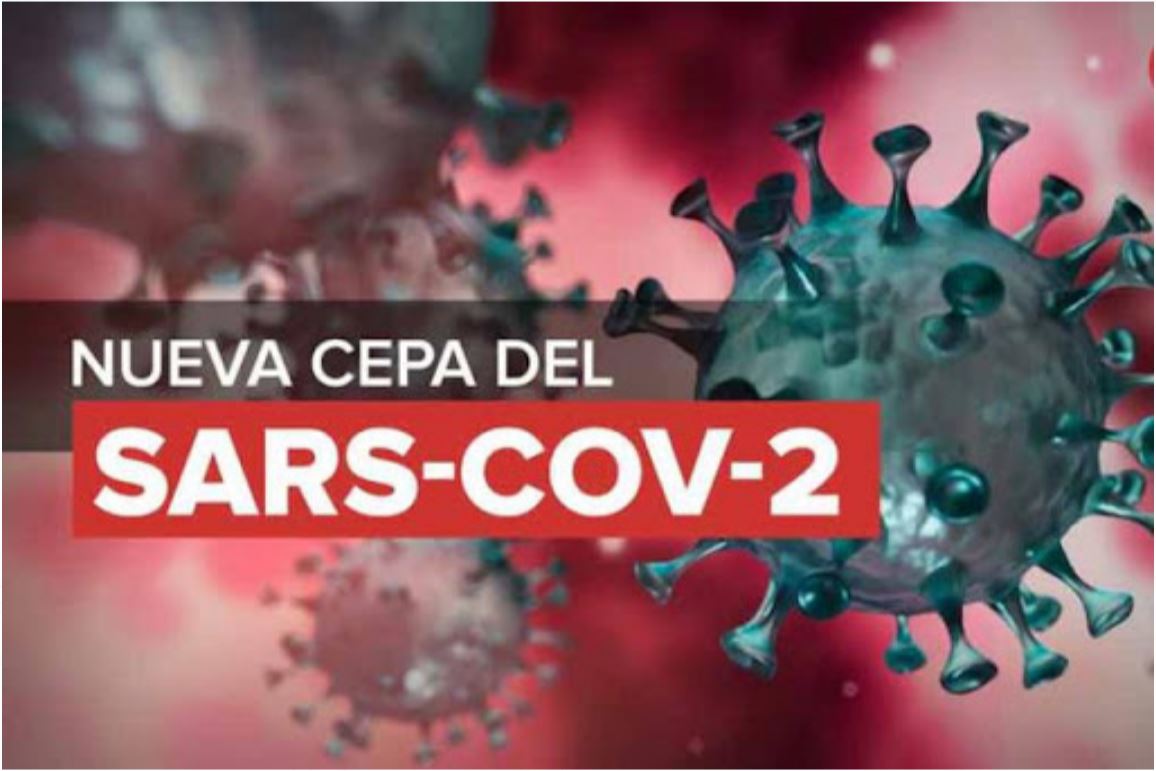 Covid-19, pandemia, SARS-COV2,